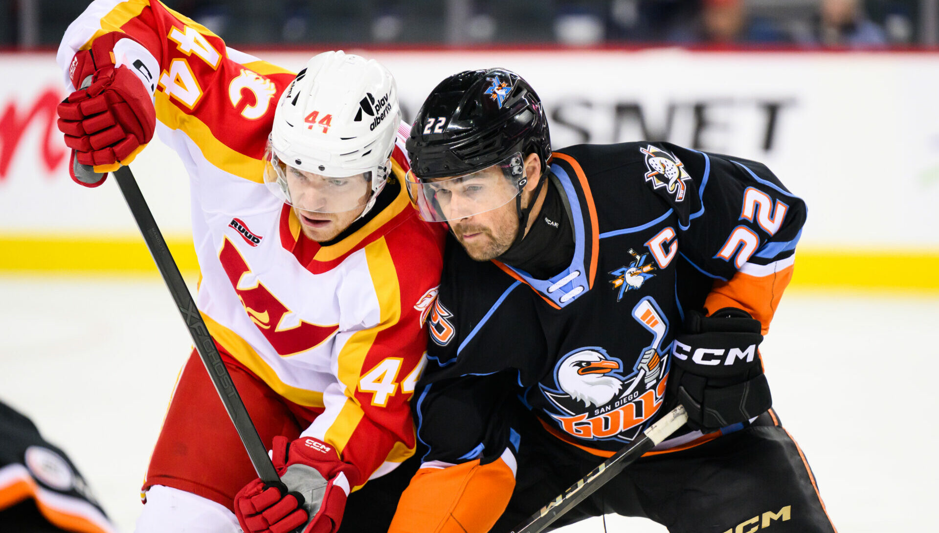 54995138505_1d7c119b3d_o (1)