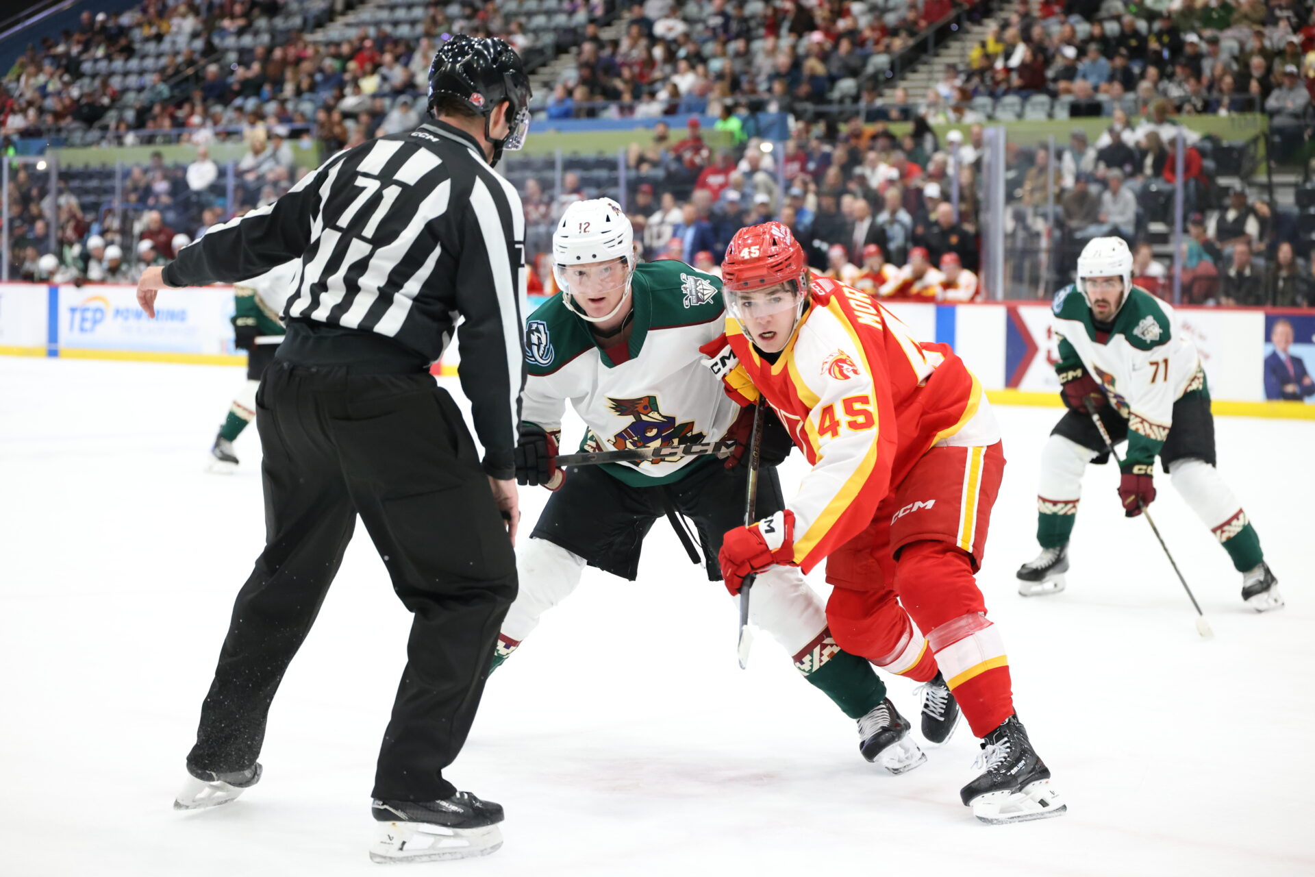 55009897752_915a3a77a9_o