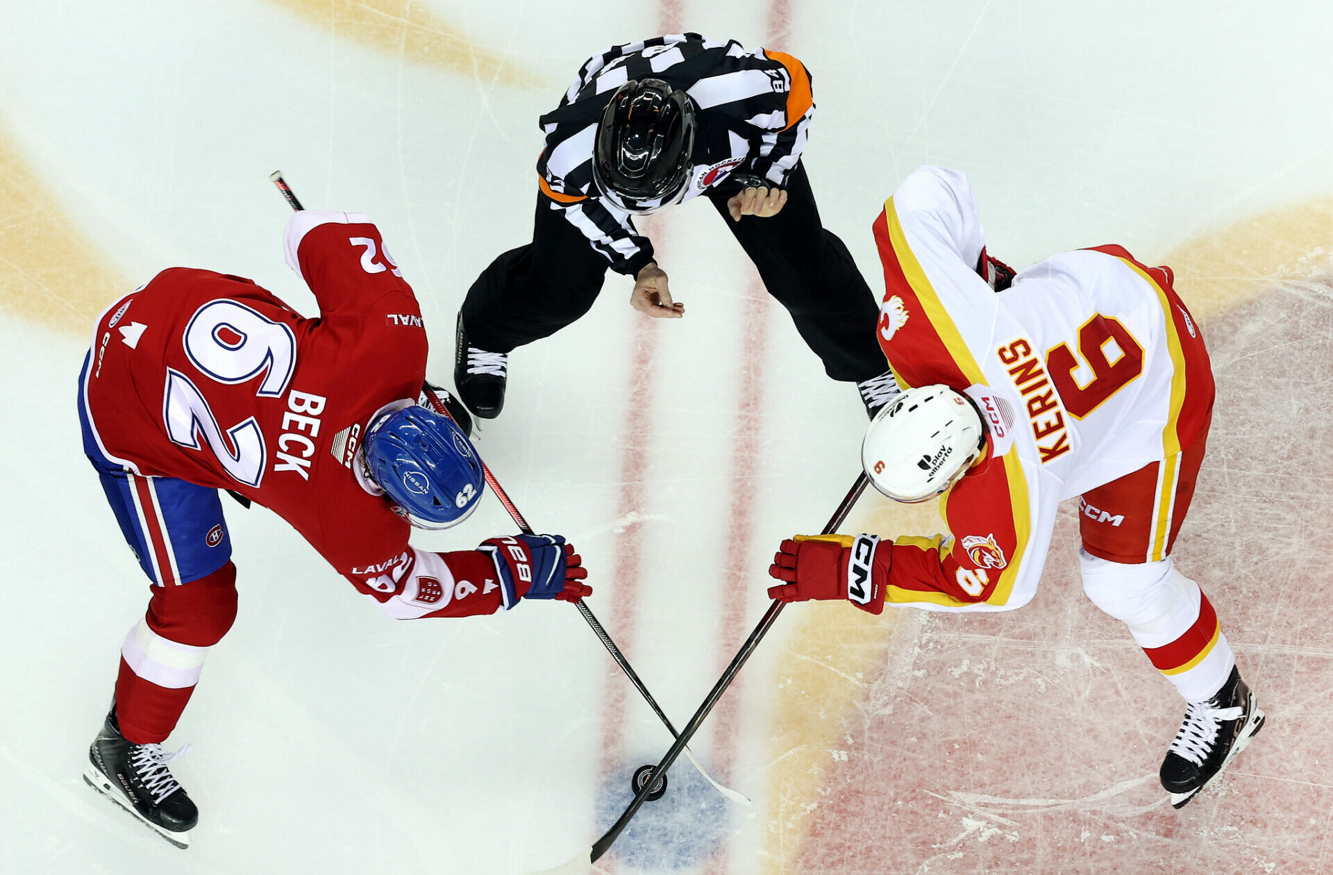 55058764321_4cc1c18b5f_o