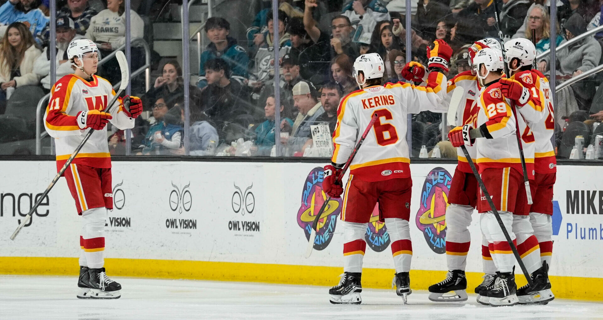 55109348760_6c4c45c420_o