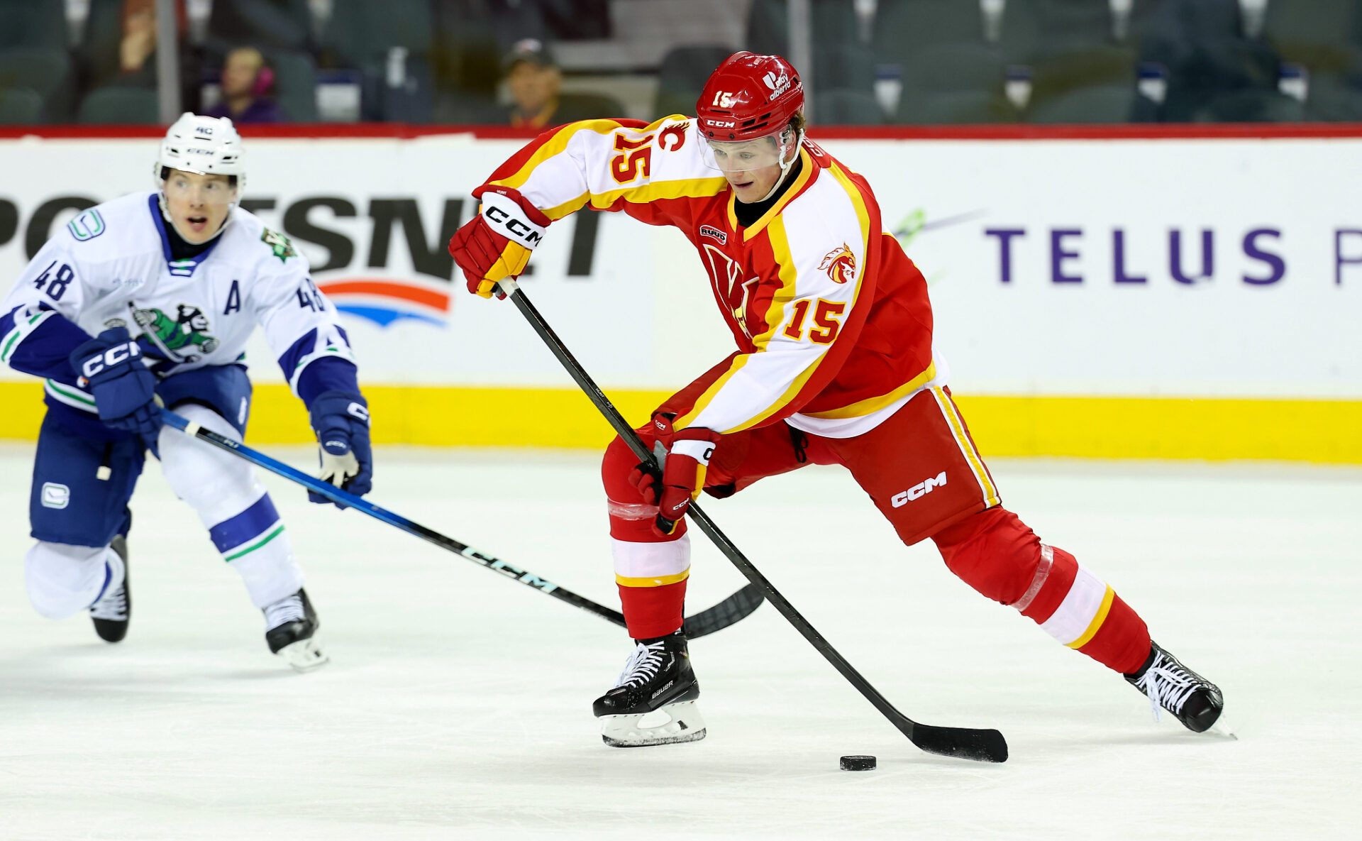 55119891418_f32b165b58_o