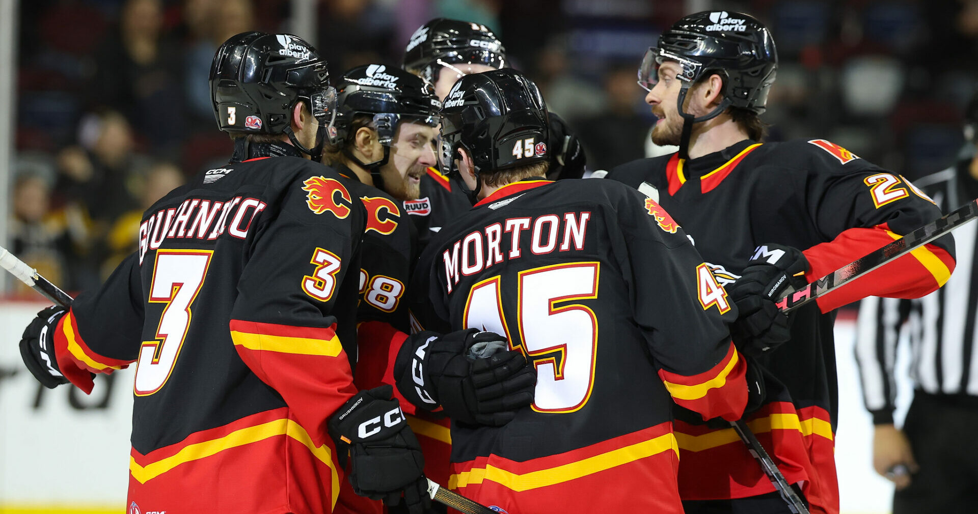 55145481827_3b8cb28cd6_o