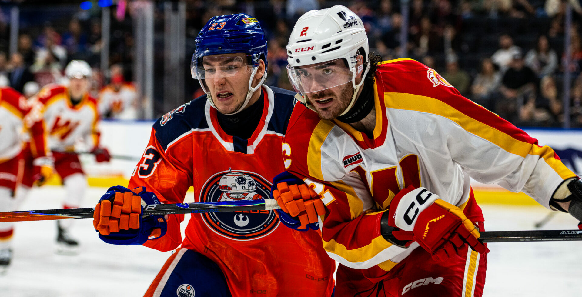 55161245208_fb16a8e91c_o