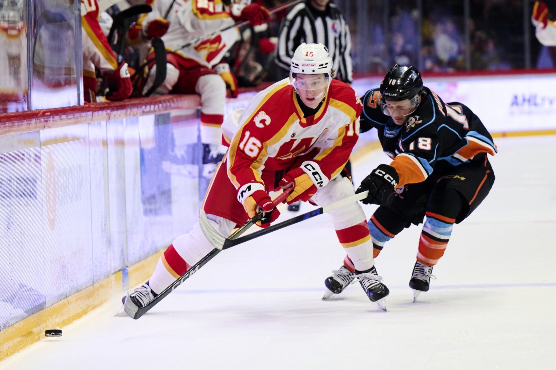 55163083763_169f99a001_o (1)