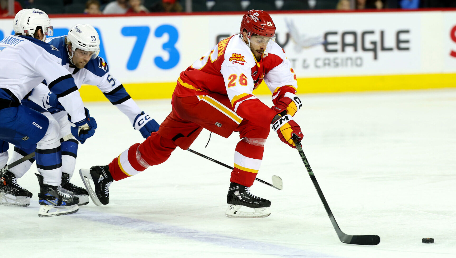 55176171533_144ff28759_o